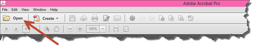 Opening a PDF Document in Adobe Acrobat